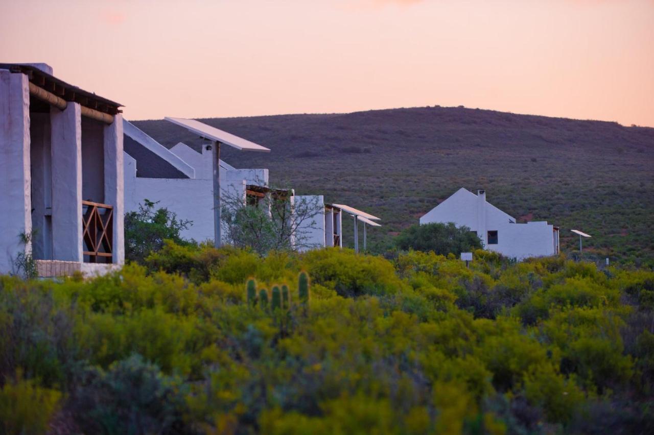 African Game Lodge Montagu Exteriér fotografie