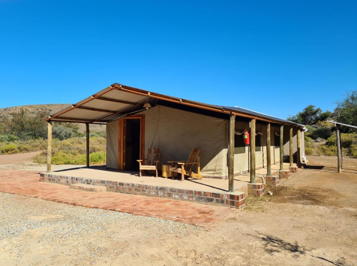 African Game Lodge Montagu Exteriér fotografie