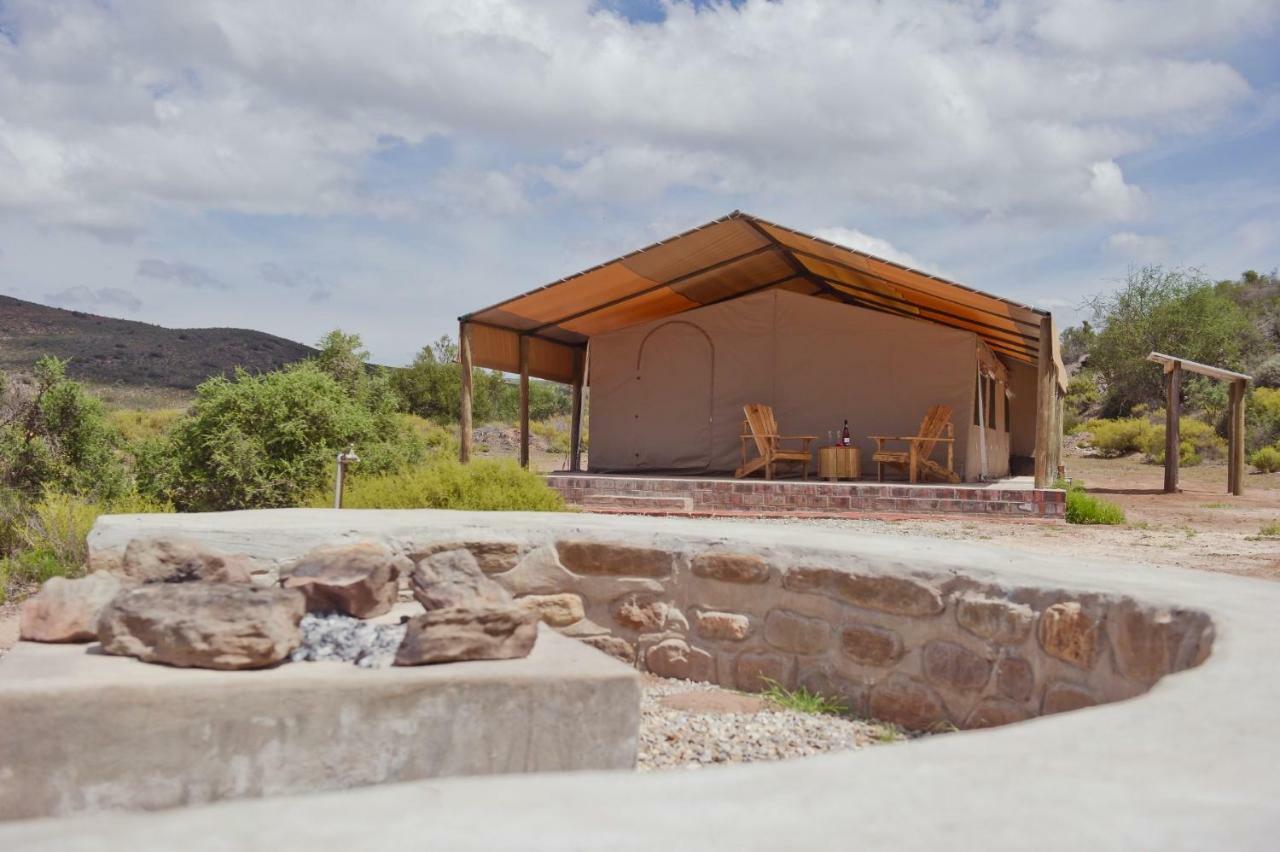 African Game Lodge Montagu Exteriér fotografie